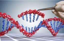 Giải trình tự gen thế hệ mới - Nền tảng khoa học cho tiếp cận y học chính xác
