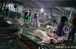 Cần chế tài nghiêm khắc với đối tượng kinh doanh thực phẩm 'bẩn'