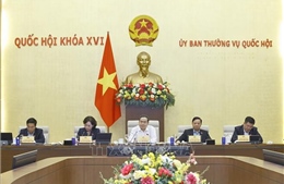 Ủy ban Thường vụ Quốc hội cho ý kiến về thuế bảo vệ môi trường, thuế giá trị gia tăng đối với xăng, dầu