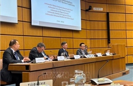 Việt Nam khẳng định vai trò nền tảng của Hiệp ước Không phổ biến vũ khí hạt nhân