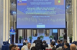 Duy trì, giữ gìn và phát triển mạch kết nối giữa nhân dân Việt Nam - Slovakia