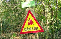 Cao điểm phòng, chống cháy rừng mùa nắng nóng