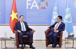 Chủ tịch Quốc hội Trần Thanh Mẫn gặp Tổng Giám đốc FAO