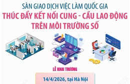 Sàn giao dịch việc làm quốc gia: Thúc đẩy kết nối cung - cầu lao động trên môi trường số