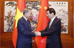 Tổng Bí thư, Chủ tịch nước hội kiến Chủ tịch Chính hiệp toàn quốc Trung Quốc