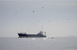 Total Energies: Mở cửa lại eo biển Hormuz có ý nghĩa quan trọng đối với thị trường thế giới