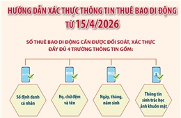 Hướng dẫn xác thực thông tin thuê bao di động từ 15/4/2026