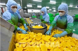 Xuất khẩu nông sản không thể dựa vào lợi thế cũ