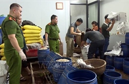 Khởi tố, bắt tạm giam 2 đối tượng sản xuất giá đỗ bằng chất cấm
