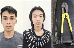 Táo tợn thực hiện 17 vụ trộm dây điện tại các trạm biến áp