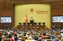 Cử tri An Giang: Quyết sách đúng đắn, sát thực tiễn tạo động lực mạnh mẽ cho phát triển