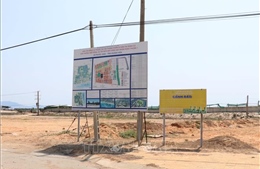 Sớm hoàn thành tái định cư 3 khu vực vùng dự án Điện hạt nhân Ninh Thuận 1