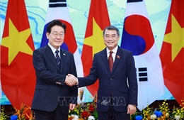 Thủ tướng Lê Minh Hưng hội kiến Tổng thống Hàn Quốc Lee Jae Myung