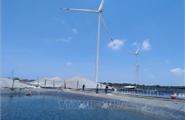 Thạnh Hải - từ 'tọa độ lửa' đến điểm sáng năng lượng sạch