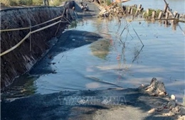 Tiếp tục xảy ra vụ sạt lở làm sụp lún lộ giao thông ở xã Cái Nước