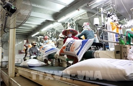 An Giang gỡ điểm nghẽn để xuất khẩu gạo đạt mốc 1 triệu tấn