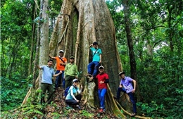 Đồng Nai quy hoạch 51 điểm du lịch sinh thái tại Khu bảo tồn thiên nhiên - văn hóa