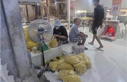 Triệt phá cơ sở sản xuất mì tươi chứa chất cấm, tiêu thụ hơn 2.800 tấn