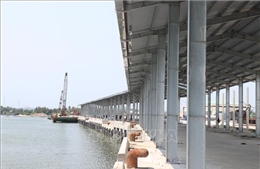 Chậm bàn giao mặt bằng Dự án Khu neo đậu tránh trú bão Tịnh Hòa (Quảng Ngãi)