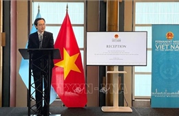 LHQ đánh giá cao sự chuẩn bị và cách tiếp cận của Việt Nam tại Hội nghị kiểm điểm NPT