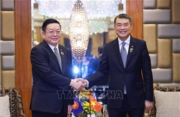 Thủ tướng Lê Minh Hưng tiếp Tổng Thư ký ASEAN
