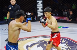 Nhiều chiến thắng knockout kỹ thuật tại LION Championship 31