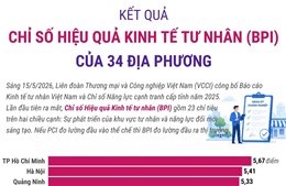 Kết quả Chỉ số Hiệu quả Kinh tế tư nhân năm 2025 của 34 địa phương