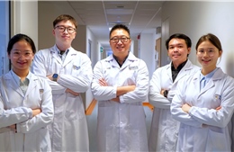 Đột phá cấy ghép rau chân vịt giúp mắt 'quang hợp'