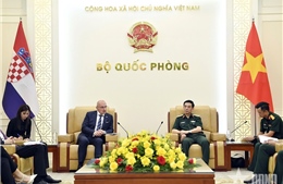 Phó Thủ tướng Phan Văn Giang tiếp Bộ trưởng Ngoại giao và các vấn đề châu Âu Croatia
