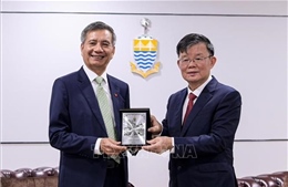 Việt Nam - Malaysia thúc đẩy hợp tác địa phương