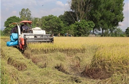 Đột phá phát triển kinh tế tập thể