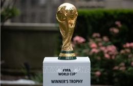 World Cup 2026: Sự trở lại của 'Những chú Voi'
