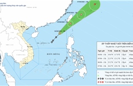 Áp thấp nhiệt đới cách đặc khu Hoàng Sa khoảng 650km