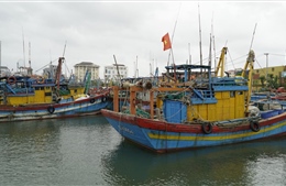 Gia Lai hướng dẫn xử lý tàu cá sau giải bản