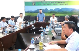 Phân cấp 4 thủ tục, cắt giảm 11 thủ tục hành chính lĩnh vực trồng trọt