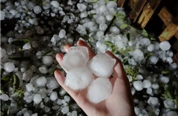Tuyên Quang: Kích hoạt các phương án ứng phó với thời tiết cực đoan