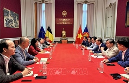 Trí thức Việt Nam tại Bỉ, Luxembourg sẵn sàng đồng hành cùng Huế trên hành trình phát triển
