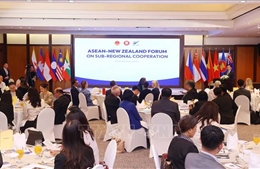 Việt Nam cam kết thúc đẩy hợp tác ASEAN với New Zealand, Anh