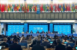 FAO: Việt Nam là ví dụ tiêu biểu trong việc triển khai hiệu quả hợp tác Nam - Nam