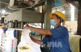 Để ngành phân bón Việt Nam thích ứng với các thách thức mới