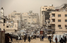 Điều bất ngờ xuất hiện giữa những đống đổ nát ở Gaza