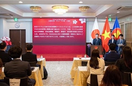 Phát động cuộc thi tìm hiểu pháp luật Nhật Bản 2026 dành cho Cộng đồng Việt Nam tại Nhật Bản