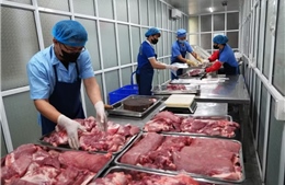 Kiểm soát chất lượng sản phẩm: Xây dựng hệ sinh thái phòng ngừa rủi ro sớm