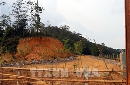 Tây Ninh: Thu hồi gần 72.400 m2 đất dự án Nhà máy sản xuất gạo GABA
