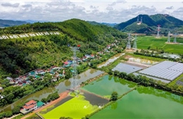 Bốn mạch đường dây 500kV Bắc - Nam cung cấp gần 20% điện cho miền Bắc trong cao điểm nắng nóng