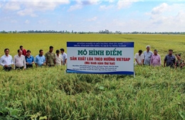 Kinh tế tập thể đổi mới bứt phá trong kỷ nguyên số