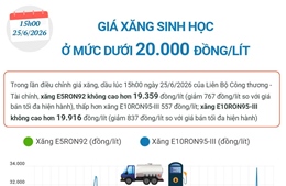 Giá xăng sinh học ở mức dưới 20.000 đồng/lít