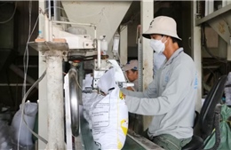 Kinh tế tư nhân trở thành động lực của tăng trưởng xanh ở An Giang