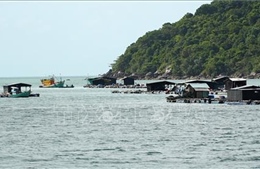 Vốn vay ưu đãi - giải pháp phát triển bền vững nghề nuôi biển