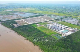 Đồng Tháp chấp thuận dự án khu công nghiệp dầu khí gần 2.750 tỷ đồng